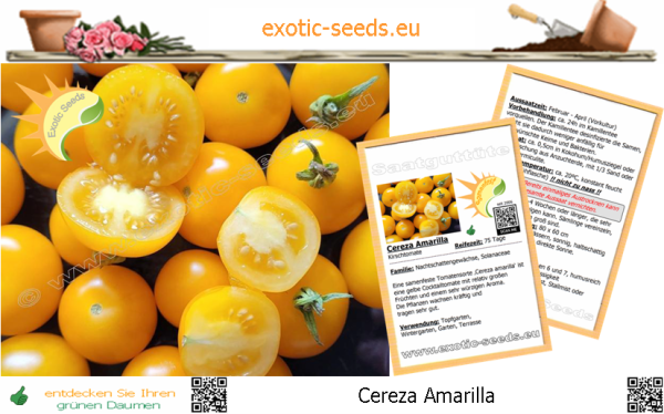 Tomate * Cereza Amarilla * 20 Samen
